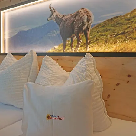 Ladis-10 By Interhome