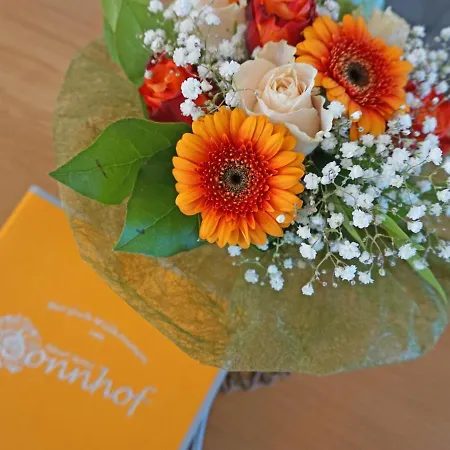 Ladis-10 By Interhome 아파트 라디스