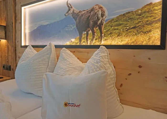 Ladis-10 By Interhome